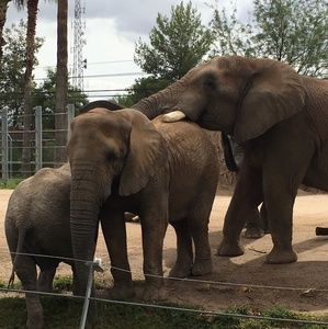 Meet your Posher, Susanna